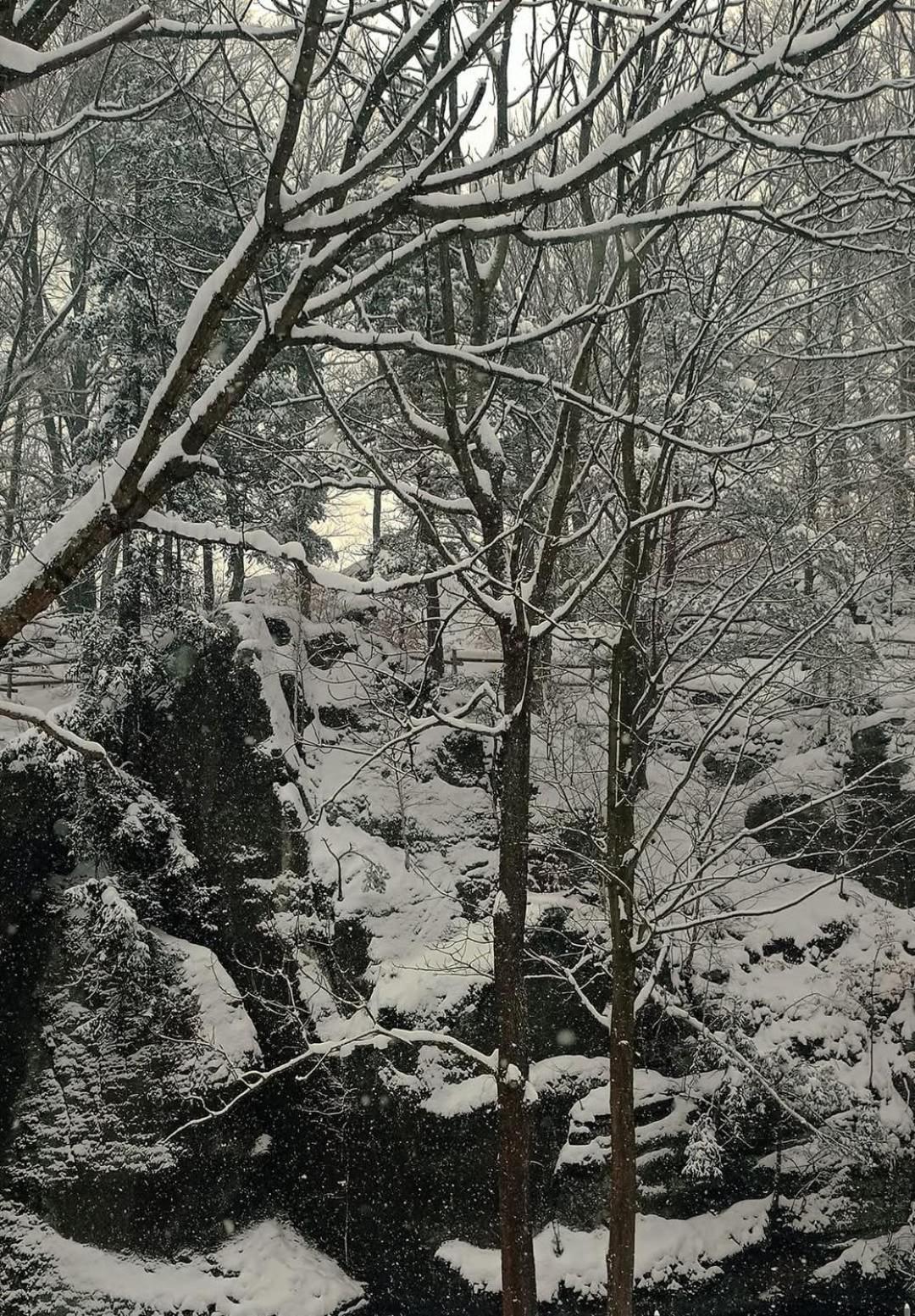 Domek Przy Rozpadlisku Podgórzyn Dış mekan fotoğraf